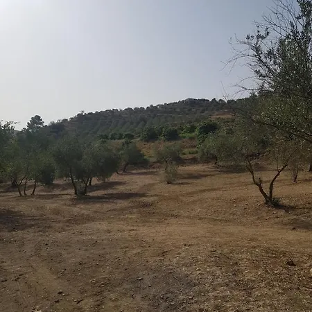 Amandolas 招待所 3*