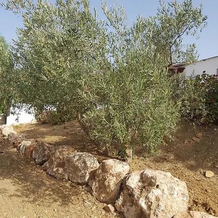 Amandolas 3* 卡萨拉博内拉