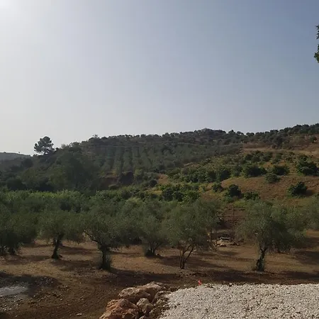 Amandolas 招待所 3*